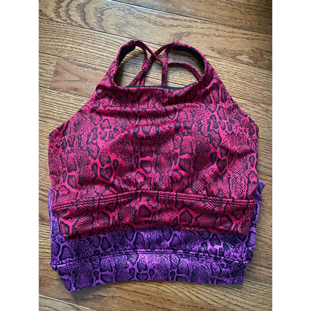 BuffBunny Evolve Bras